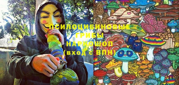 ECSTASY Абинск
