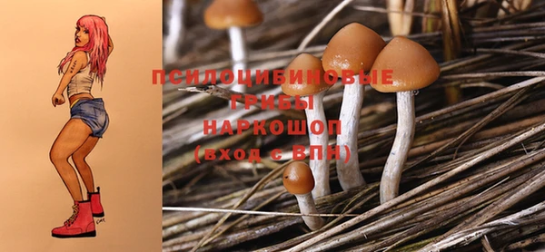 трава Абдулино