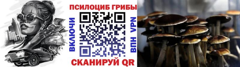 как найти закладки  mega   Псилоцибиновые грибы Magic Shrooms  Аксай 